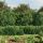 Zöld dróthálós kerítés cövekekkel 1,8x10 m