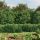 Zöld dróthálós kerítés illesztőperemmel 1,4x25 m