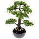 Emerald zöld mini fikusz bonsai műnövény 47 cm